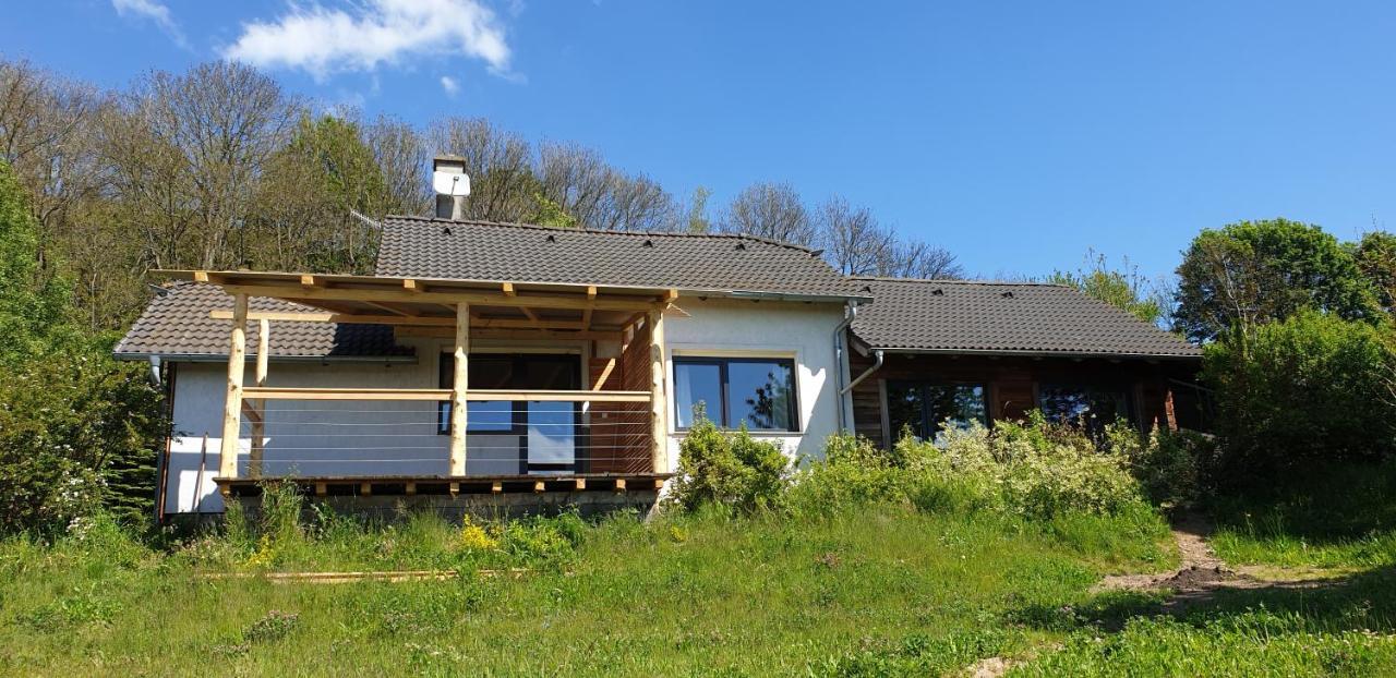 Apartman Nezichov Toužim エクステリア 写真