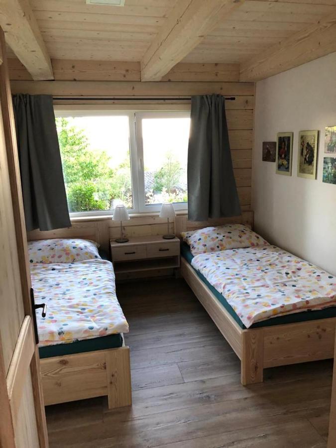 Apartman Nezichov Toužim エクステリア 写真